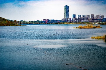 _DSC3532