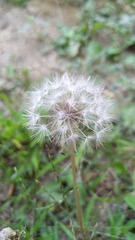 195