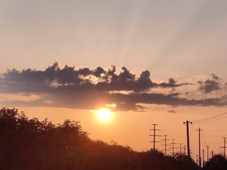 1000081426
