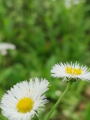3226488