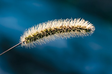 19279