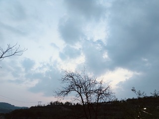 1000029753