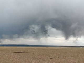 1000004251