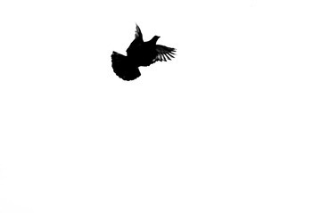 1200906