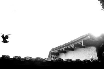 1200911