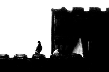 1200912