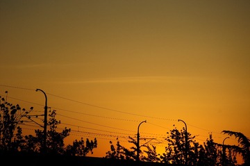 225162