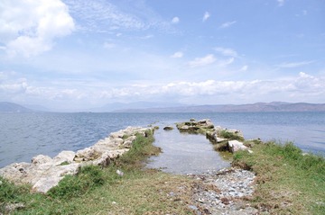 海舌