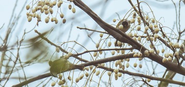 DSC_6006 拷贝