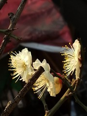 328045