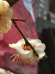 328040