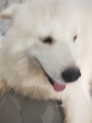 5144891