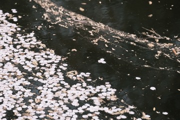 1000057254