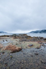 DSC_3314.jpg