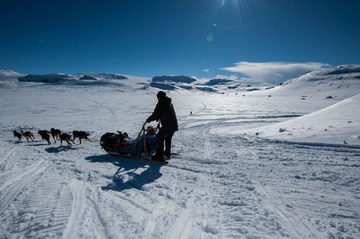 DSC_3472.jpg