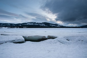 DSC_3342.jpg
