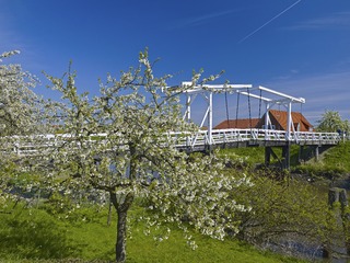 DSC_2338.jpg