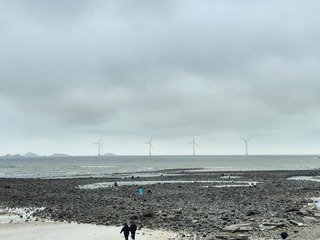 1000067534