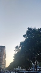 1000012319