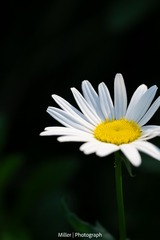 1000047414