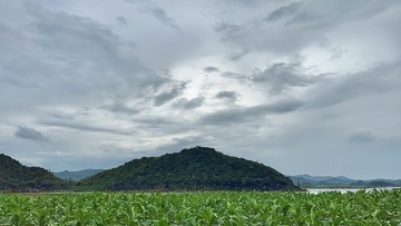 7B5026F5-0915-4AAB-B20D-5AB1BCF05E63/L0/001