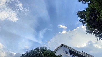 1000016974