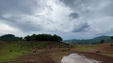 6B66129A-0EF6-4EE3-8F41-BE168607B7CF/L0/001