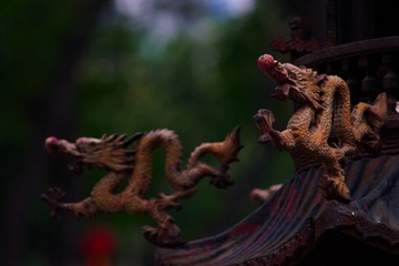 _DSF0215