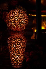 _DSF0228