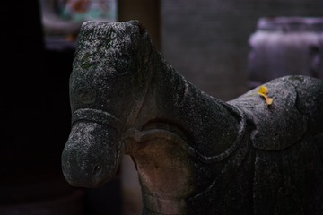 _DSF0234