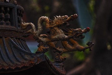 _DSF0219