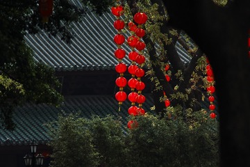 _DSF0245