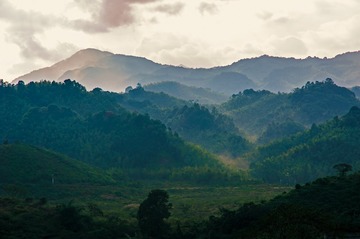_DSC7729