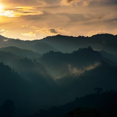 _DSC7737