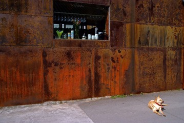DSCF4369.jpg