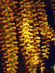 L1030521