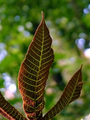 L1030552