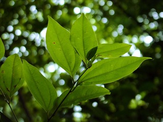 L1030558
