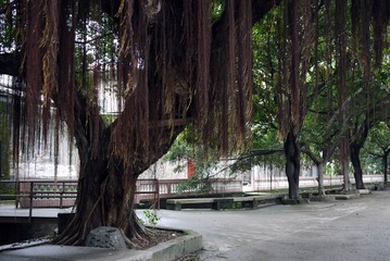 P1080753