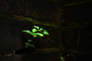 P1080764