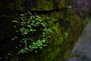P1080772