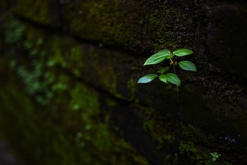 P1080776