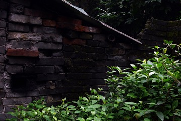 P1080789