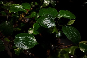 P1080807