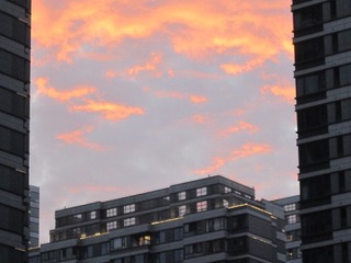 IMG_1480