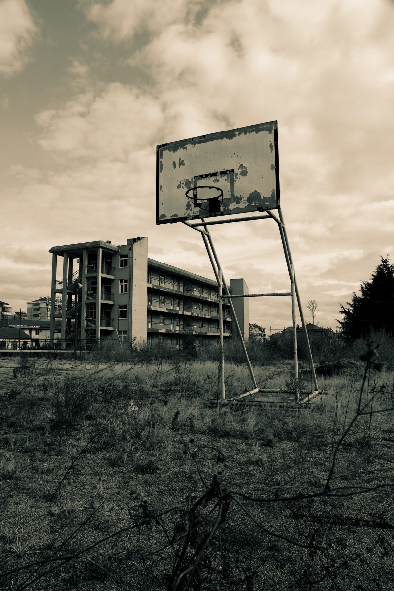 荒废校园与新建校舍