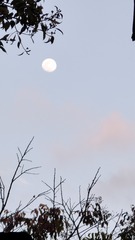 1000022170