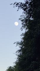 1000035940
