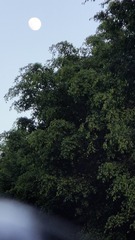 1000035943