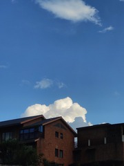 1000051783
